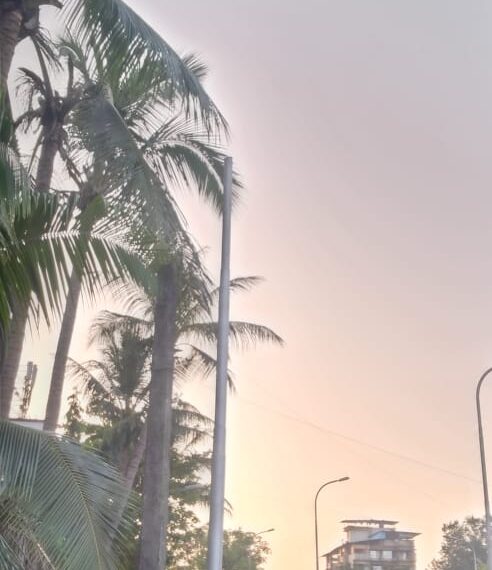 सानपाडा नोडमधील प्रभाग ७६ मधील पथदिव्यांची पाहणी व तात्काळ दुरूस्ती करा : पांडूरंग आमले