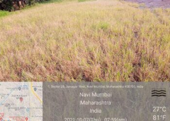 उद्यान व क्रिडांगणातील समस्या निवारणासाठी कॉंग्रेसचा पाठपुरावा