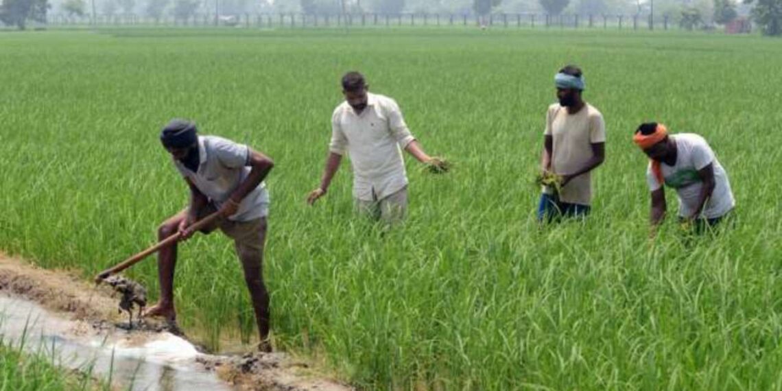 बळीराजाच्या घरी दिवाळी कधी साजरी होणार?