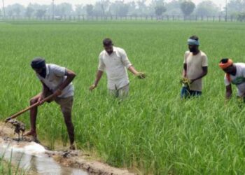 बळीराजाच्या घरी दिवाळी कधी साजरी होणार?