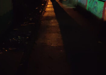 वरूणा सोसायटीलगत संरक्षक भिंतीलगतच्या पदपथावर पथदिवे उपलब्ध करून द्या : महादेव पवार