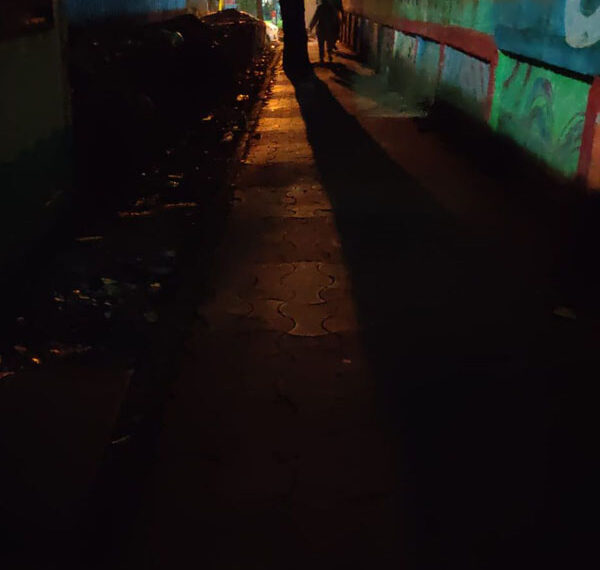 वरूणा सोसायटीलगत संरक्षक भिंतीलगतच्या पदपथावर पथदिवे उपलब्ध करून द्या : महादेव पवार