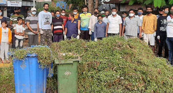 राष्ट्रवादीचे स्वच्छता अभियान उत्साहात