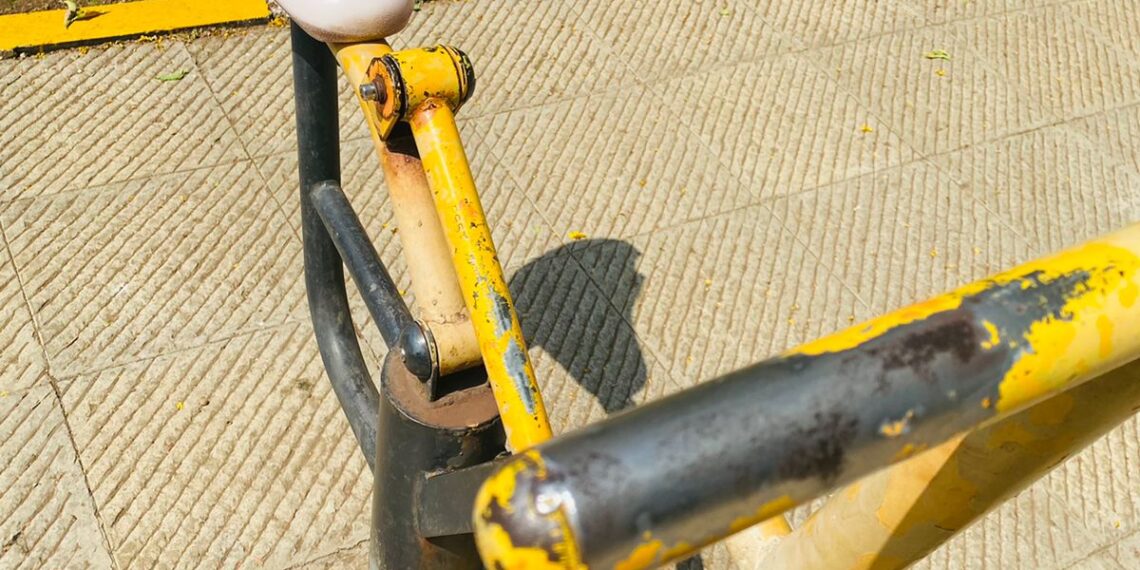 सिताराम मास्तर उद्यानातील समस्या सोडवा : पांडुरंग आमले