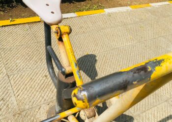 सिताराम मास्तर उद्यानातील समस्या सोडवा : पांडुरंग आमले