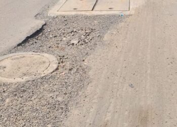 नेरूळ व जुईनगरमधील रस्त्याची डागडूजी करा : विद्या भांडेकर