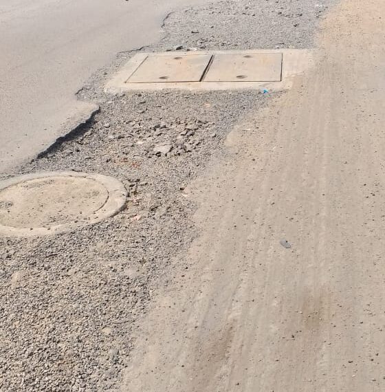 नेरूळ व जुईनगरमधील रस्त्याची डागडूजी करा : विद्या भांडेकर