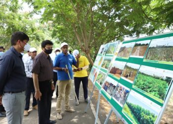 मुख्य सचिव मनुकुमार श्रीवास्तव यांच्याकडून नवी मुंबई महापालिकेच्या वैशिष्टपूर्ण कामांची पाहणी