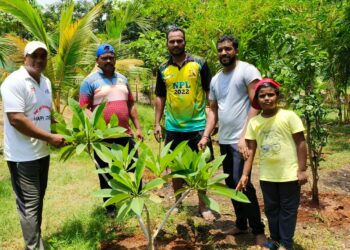 जागतिक पर्यावरण दिनी नेरुळमध्ये वृक्षारोपण