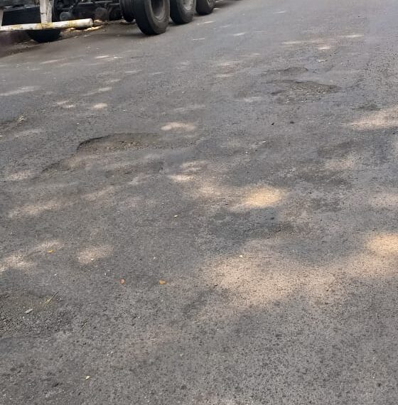 जुईनगर सेक्टर २३ मधील रस्त्यावरील खड्डे तातडीने बुजवा : विद्या भांडेकर