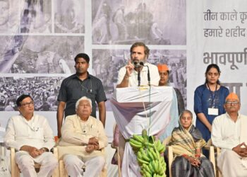 पंतप्रधानांनी शेतकऱ्यांशी संवाद साधला असता तर  ७३३ बळी टाळता आले असते : राहुल गांधी