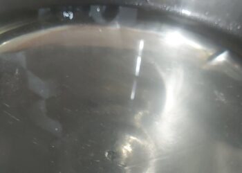 अन्यथा तेच दूषित पिवळसर पाणी महापालिका अधिकाऱ्यांना पाजणार : विद्या भांडेकर