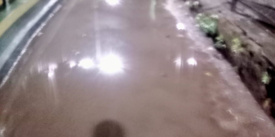 रस्त्यावर साचणाऱ्या पाण्याचा निचरा करा : विद्या भांडेकर