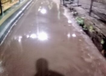 रस्त्यावर साचणाऱ्या पाण्याचा निचरा करा : विद्या भांडेकर