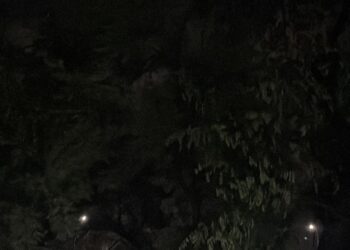 दुर्घटना घडल्यावर महापालिका कार्यवाही करणार का? पांडुरंग आमले