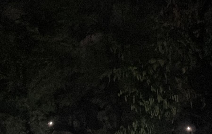 दुर्घटना घडल्यावर महापालिका कार्यवाही करणार का? पांडुरंग आमले