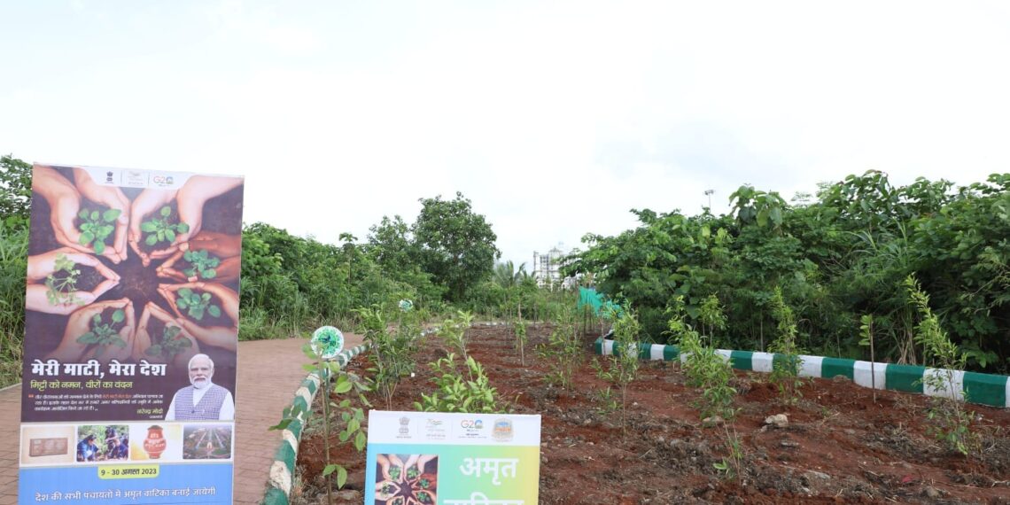 ‘माझी माती माझा देश’ अभियानांतर्गत ‘वसुधा वंदन’ करीत ‘अमृत वाटिका’ निर्मिती