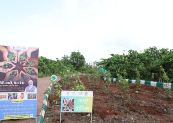 ‘माझी माती माझा देश’ अभियानांतर्गत ‘वसुधा वंदन’ करीत ‘अमृत वाटिका’ निर्मिती