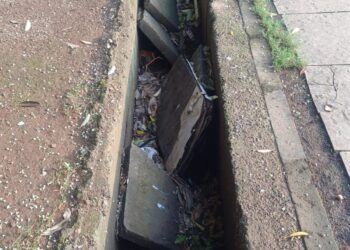 नेरूळ सेक्टर सहामधील क्रिडांगणातील गटर बंदीस्त करण्याची कॉंग्रेसची मागणी