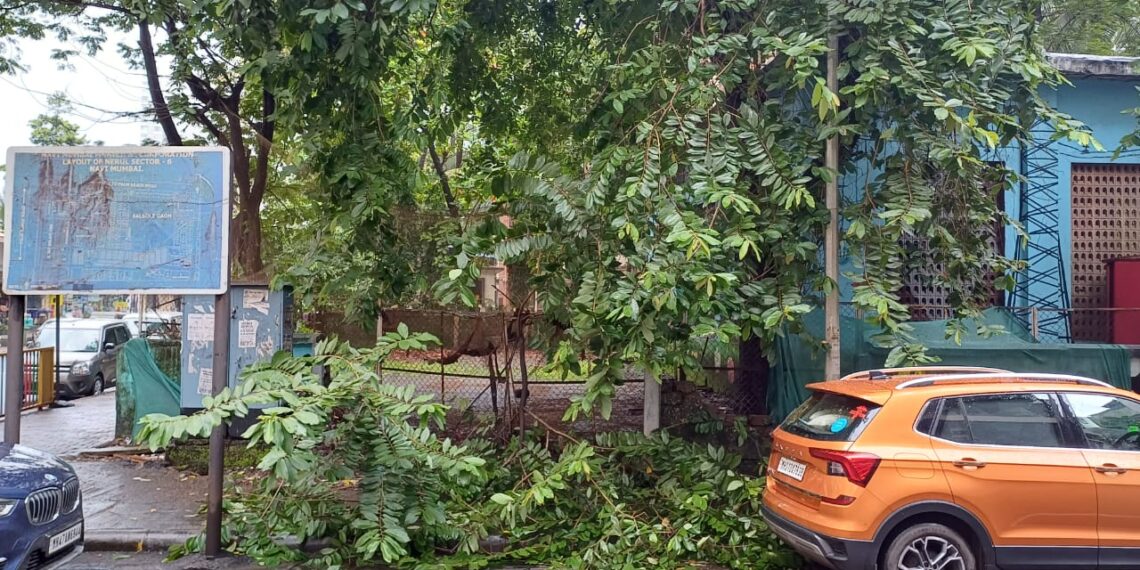 नेरूळ सेक्टर सहामधील महावितरणच्या डीपीलगत पडलेल्या झाडांच्या फांद्या उचलून तेथे वृक्षछाटणी अभियान राबवा : सुजाता सुरज पाटील