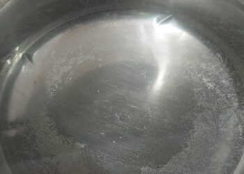 नेरूळ सेक्टर २ आणि ४ मध्ये पालिकेकडून स्वच्छ पाण्याचा पुरवठा करा : विद्या भांडेकर