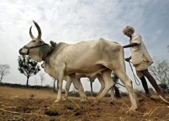 बळीराजाचाही विचार करा…