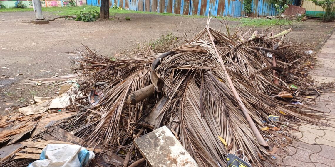नेरूळ सेक्टर सहाच्या मैदानातील झाडांच्या फांद्याचा कचऱ्याचा ढिगारा हटवा
