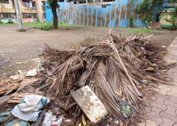 नेरूळ सेक्टर सहाच्या मैदानातील झाडांच्या फांद्याचा कचऱ्याचा ढिगारा हटवा