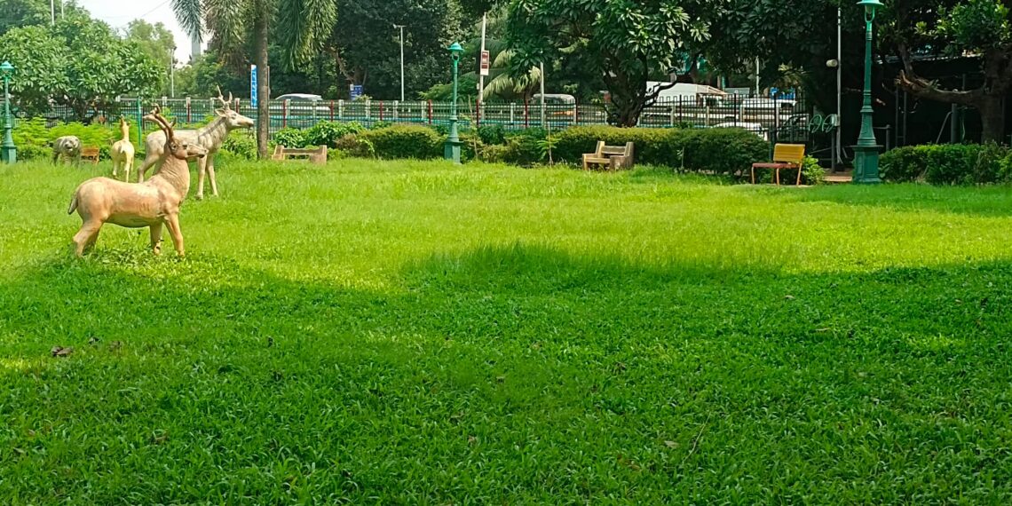 नेरूळ, जुईनगरमधील उद्यानात वाढलेले जंगली गवत हटविण्याची काँग्रेसची मागणी