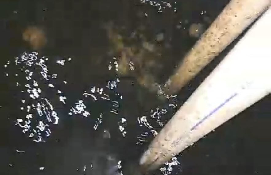 घणसोली डेपोत बस धुण्यासाठी मल: मिश्रीत सांडपाणी