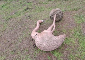 नेरूळ सेक्टर दोनमधील सार्वजनिक उद्यानात तुटलेल्या खेळण्यांचे सांगाडे