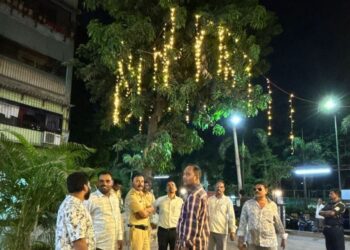 झाडांवर विद्युत रोषणाई करणाऱ्या हॉटेल मालकाकडून १० हजार दंडवसूली