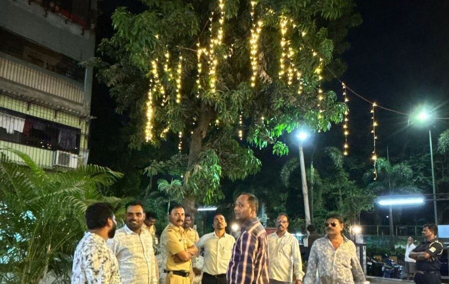 झाडांवर विद्युत रोषणाई करणाऱ्या हॉटेल मालकाकडून १० हजार दंडवसूली