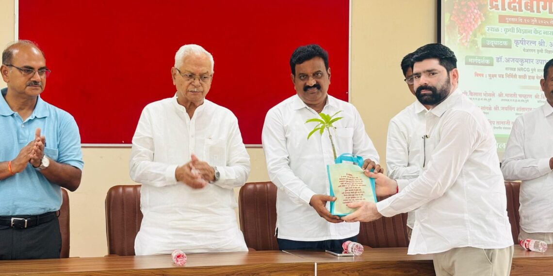 नारायणगावात द्राक्ष बागायतदारांचे चर्चासत्र उत्साहात