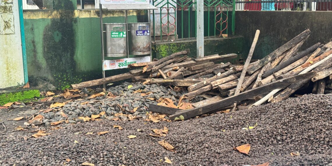 नेताजी सुभाषचंद्र बोस उद्यानातील समस्या सोडविण्याची कॉंग्रेसची मागणी