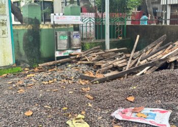 नेताजी सुभाषचंद्र बोस उद्यानातील समस्या सोडविण्याची कॉंग्रेसची मागणी