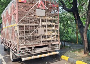 मृत कोंबड्यांनी भरलेल्या टेम्पोमुळे कोपरखैराणेवासियांच्या आरोग्याला धोका