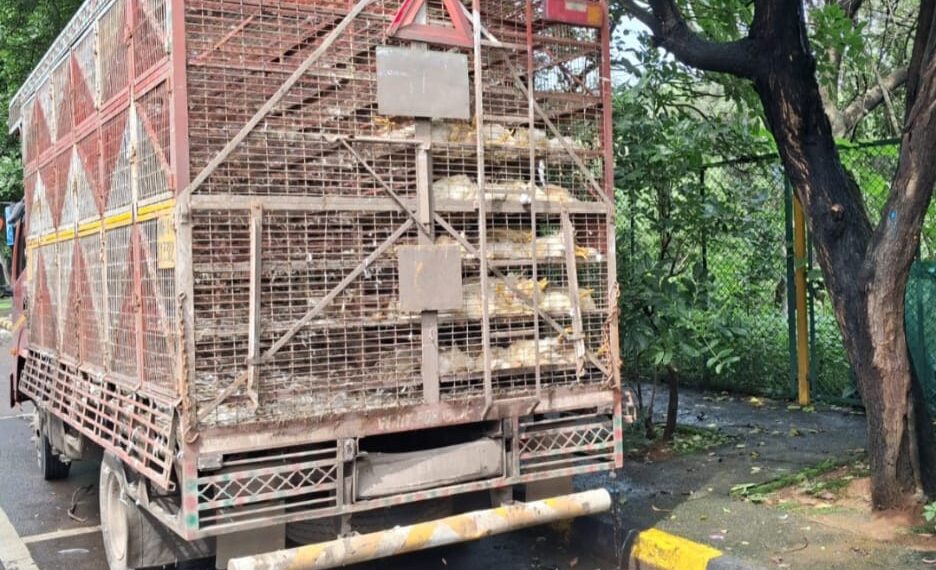 मृत कोंबड्यांनी भरलेल्या टेम्पोमुळे कोपरखैराणेवासियांच्या आरोग्याला धोका