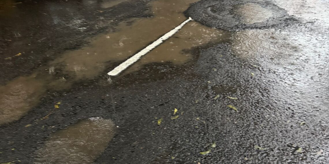 सानपाडामधील रस्त्यावरील खड्डे बुजविण्यासाठी भाजपचे पालिकेला स्मरण