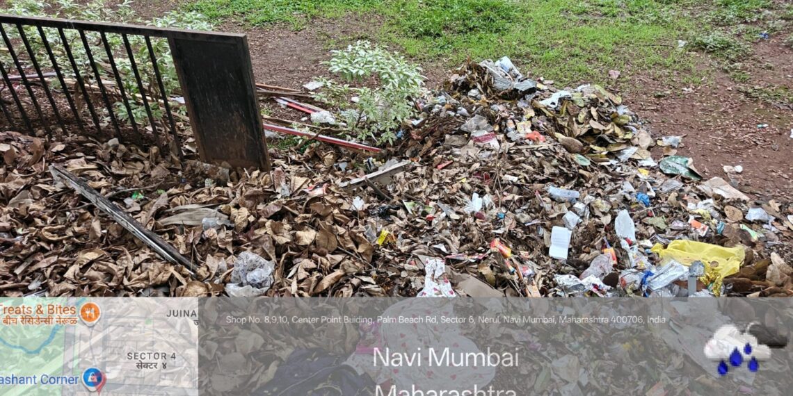 उद्यानात स्वच्छता ठेवायची नसेल तर डम्पिंग ग्राऊड जाहीर करण्याची राष्ट्रवादीची मागणी