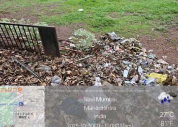 उद्यानात स्वच्छता ठेवायची नसेल तर डम्पिंग ग्राऊड जाहीर करण्याची राष्ट्रवादीची मागणी