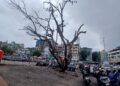 वाहनतळातील धोकादायक झाडाची तळापासून छाटणी करण्याची मागणी