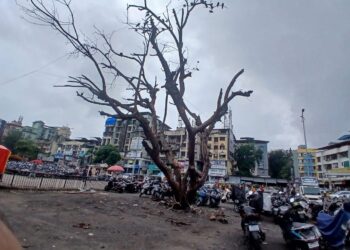 वाहनतळातील धोकादायक झाडाची तळापासून छाटणी करण्याची मागणी
