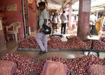 कांदा महिलांना रडवणार? शंभरीच्या उंबरठ्यावर भाव!