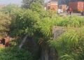 मुंबई-पुणे एक्स्प्रेसवेवर कंटेनर आणि टेम्पो दरीत कोसळले, एकाचा मृत्यू