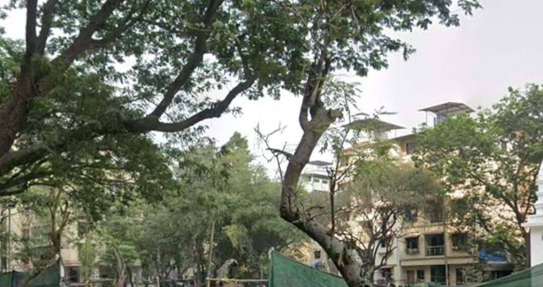 कुकशेत गावामध्ये पर्यावरणपूरक स्मशानभूमी उभारण्याची मागणी